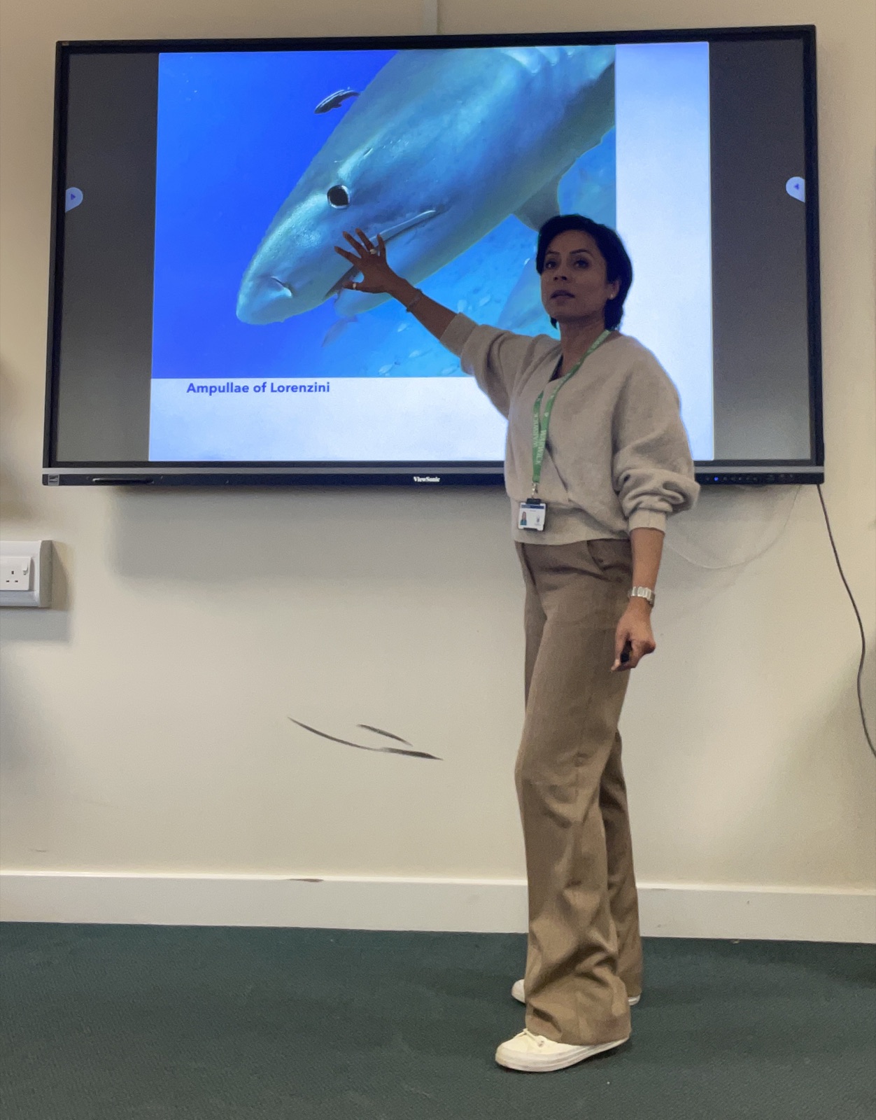 Zakia delivering an Ocean Academy session, shark biology on the screen behind her